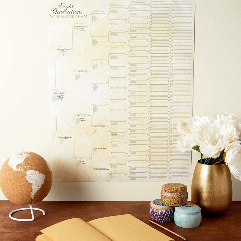 Okuna Outpost Family Tree Charts to Fill in - 8 Generation Genealogy Charts with 255 Name Spaces - Blank Family Tree Posters on Poster Paper for Framing - Pack of 15, 17 x 22 In, Off-White - Image 3